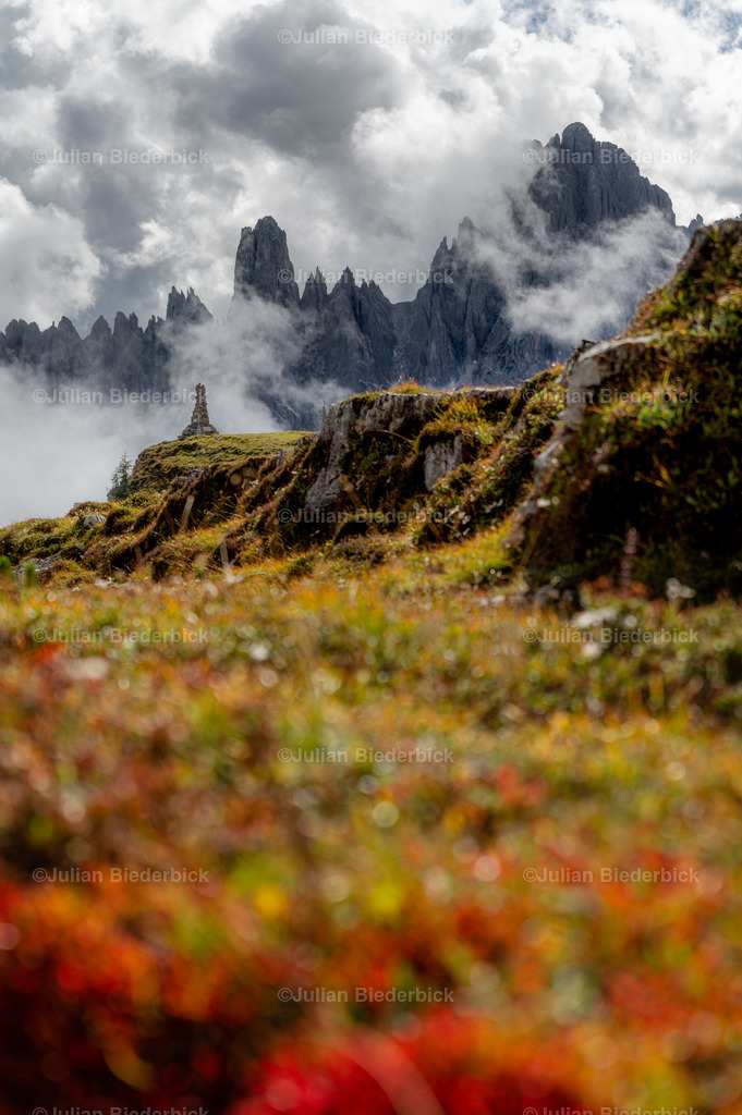 N78_5619-Bearbeitet | Julian Biederbick - Realisiert mit Pictrs.com