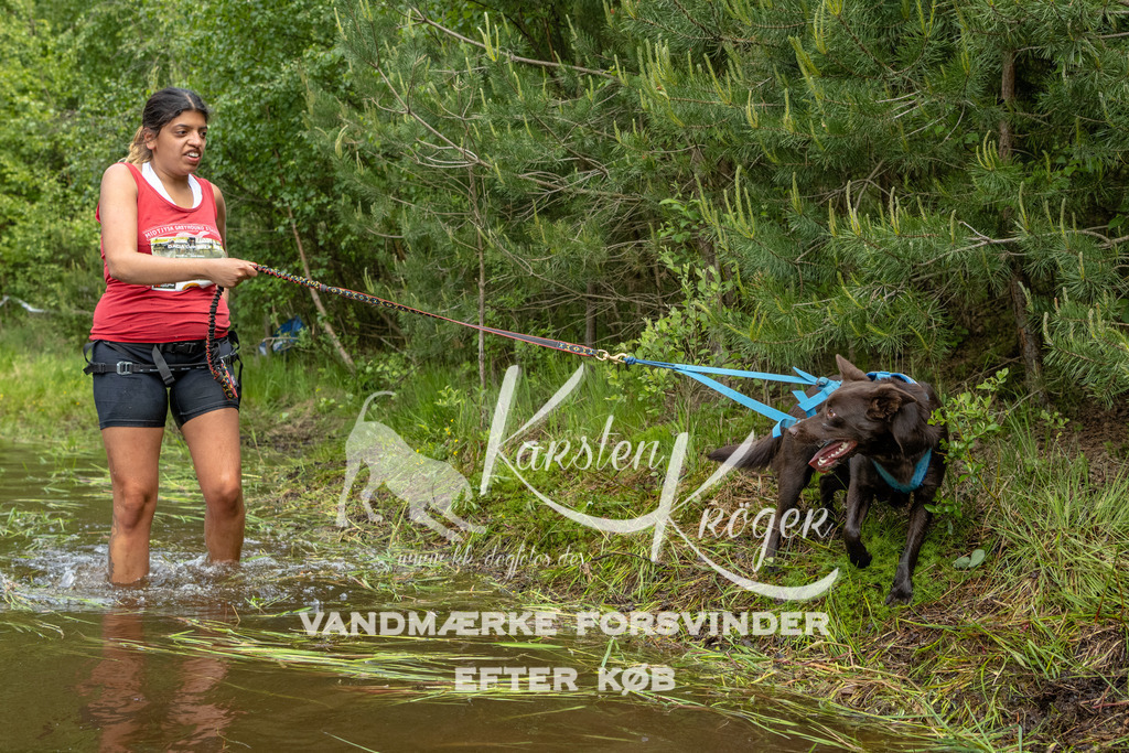 1116DKK994615 | kk-dogfotos
