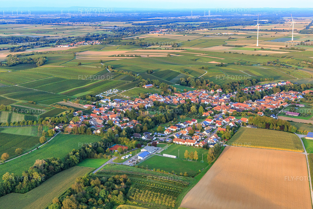 Luftbild: Ortsansicht von Westen in Dierbach im Bundesland Rheinland-Pfalz in Deutschland. Foto: IMG_129381.jpg vom 12.09.2021 durch Werner Riehm/FLY-FOTO.de