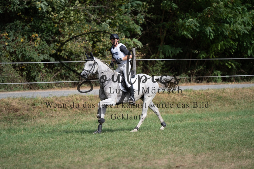 A7V00842 | Pferdefotograf