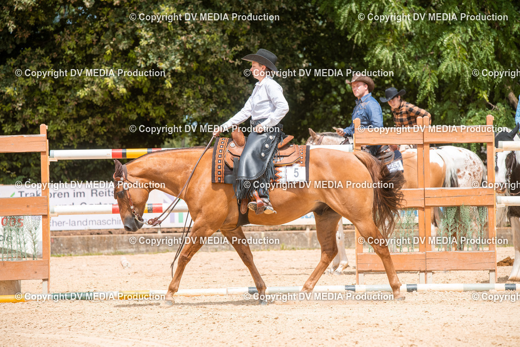 EWP_6235 | dv-media-shop - Realisiert mit Pictrs.com