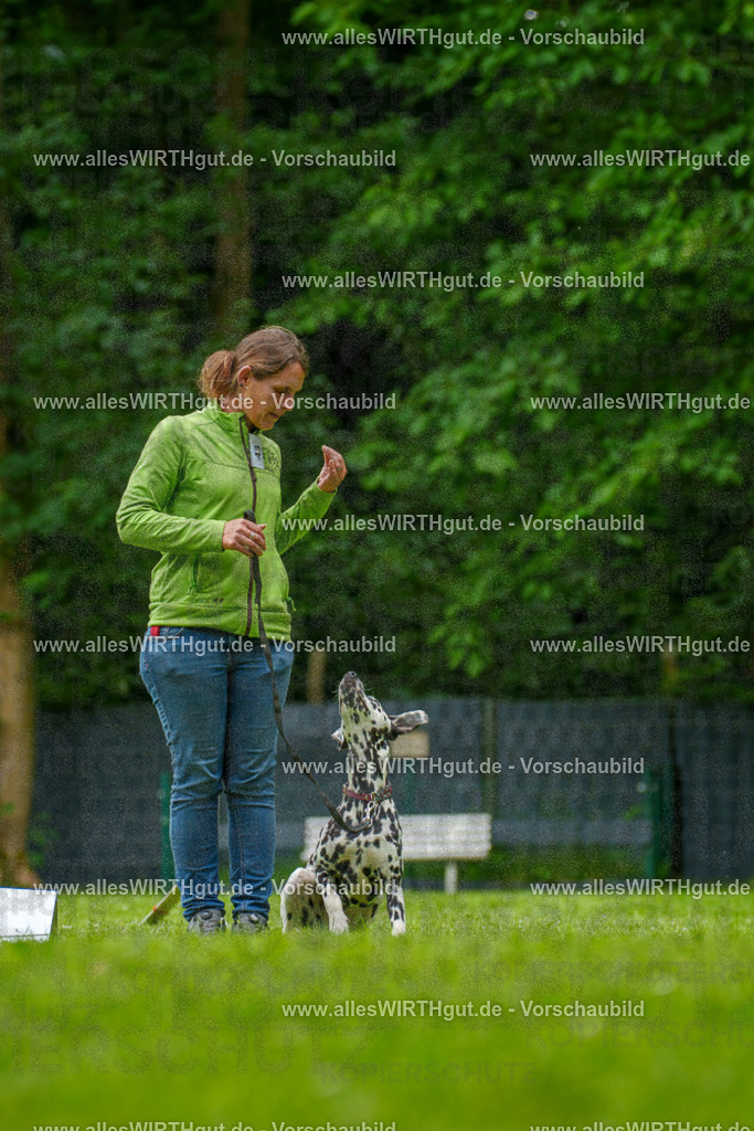 @allesWIRTHgut_Tierfotografie - www.allesWIRTHgut.de - 135109-7R500069 | Professionelle Tierfotografie in Mönchengladbach von Daniel Wirth (allesWIRTHgut). Liebevolle & natürliche Bilder von Hunden & Katzen für unvergessliche Erinnerungen.
