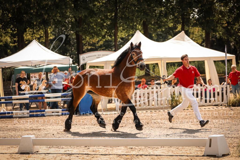 1.Sa00023 | Leoni Ertmer Photography - Realisiert mit Pictrs.com