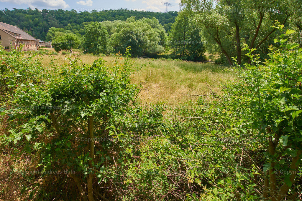 Blick vom Mildenfurther Mühlengraben in Richtung der Weida | Bedeutsame Landschaften Deutschlands - Realisiert mit Pictrs.com