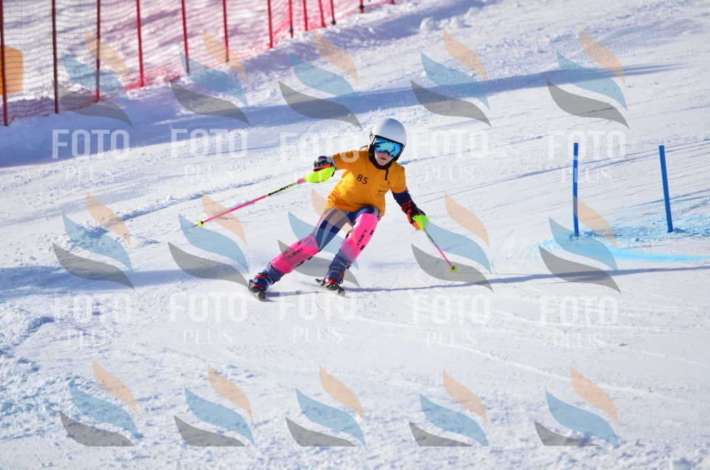 C6012 | holidayphoto