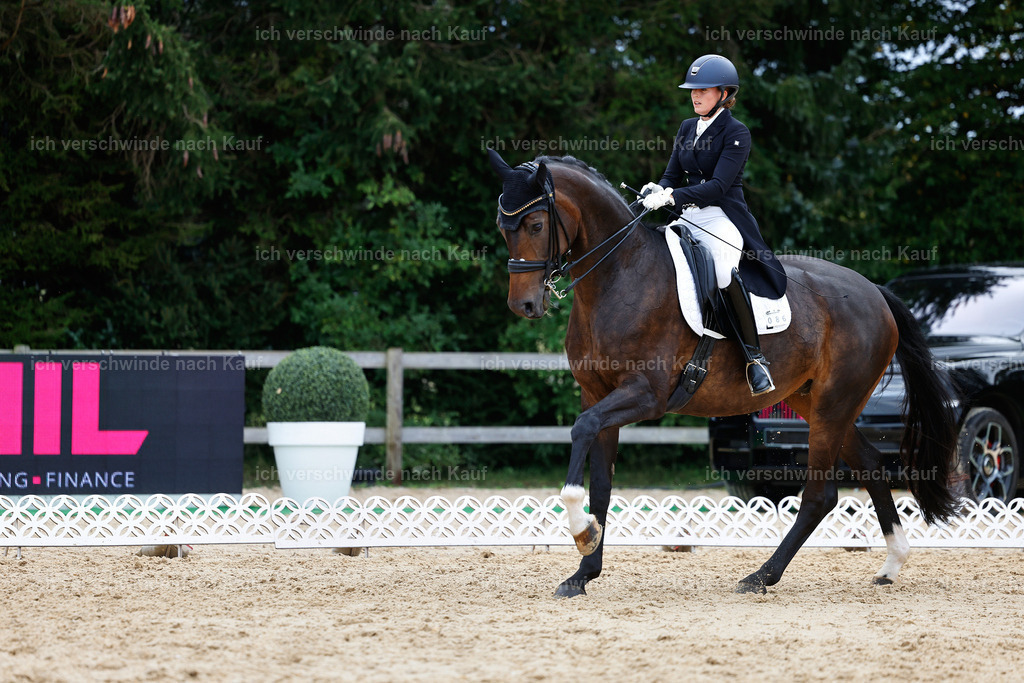 6-086-AMATUER-DRESSUR S_  -StoibPH-3589 | working equitationturnier fotograf videograf stoibphotography marixx film working equitation deutschland reitsport turnierfotografie eventfotografie equestrian events