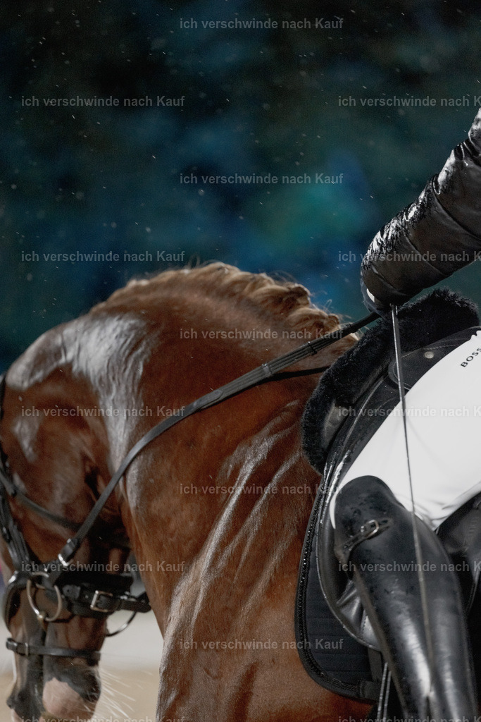 FHClassics-19 | working equitationturnier fotograf videograf stoibphotography marixx film working equitation deutschland reitsport turnierfotografie eventfotografie equestrian events