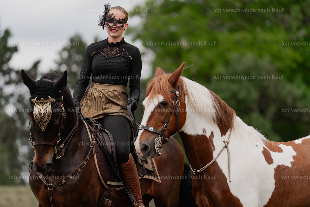 Showprogramm-441 | working equitationturnier fotograf videograf stoibphotography marixx film working equitation deutschland reitsport turnierfotografie eventfotografie equestrian events
