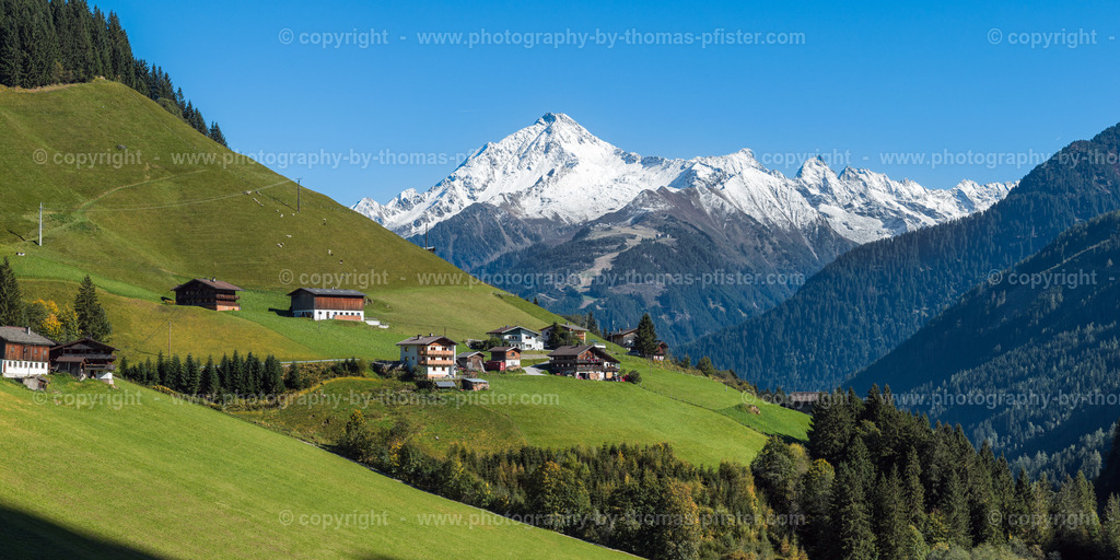  Tux Blick zur Ahornspitze im Herbst copyright  Thomas Pfister-3 | default