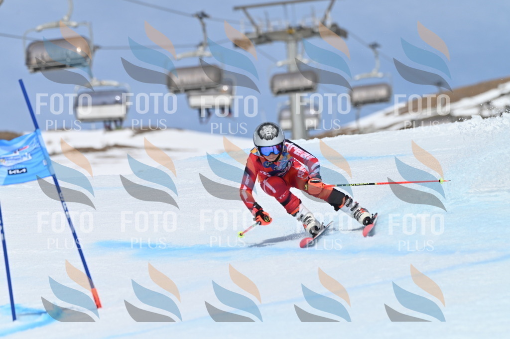 BGV_1443 | holidayphoto