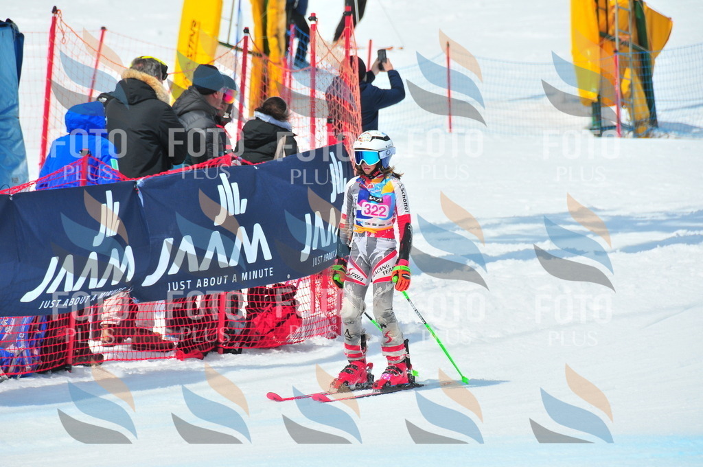 DSC_6764 | holidayphoto