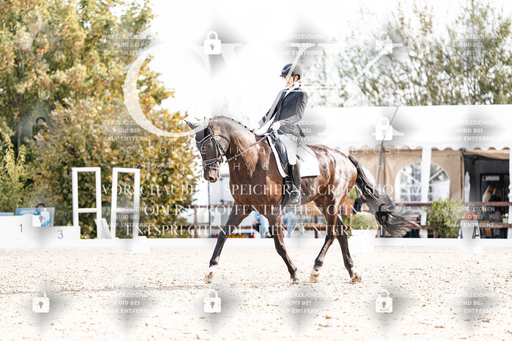 CK901734 | Turnierfotografie Pferdefotografie Trier Rheinland-Pfalz Pferdesport Reitsport Tierfotografie Sportfotografie Pferdevideo Pferdevideografie Equestrianvideography equestrianphotography  - Realisiert mit Pictrs.com