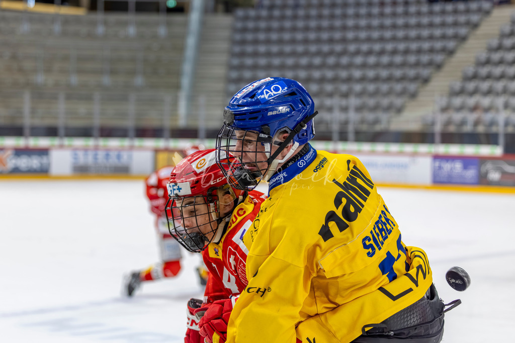 EHCB vs HCD 20262703-404838400 | Sportbilder, Sportfotograf, Hochzeits- und Eventfotografin, Flugshows, Portraits und Tiershooting, Aviation, Downhill, Nationalleague, Swissleague, International