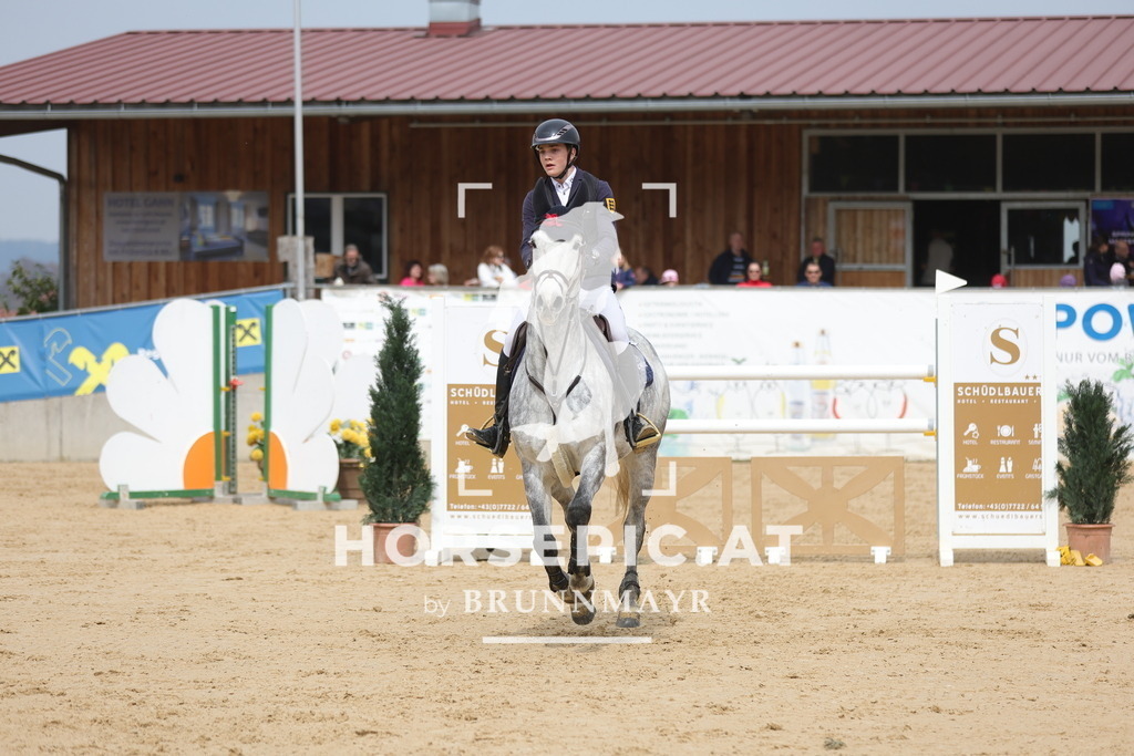 0P6A6808 | Willkommen bei Brunnmayr - Design & Fotografie – Ihrem Spezialisten für Reitturniere und Pferdeveranstaltungen in Oberösterreich, Salzburg und Bayern! Seit über 17 Jahren sind wir leidenschaftlich dabei.