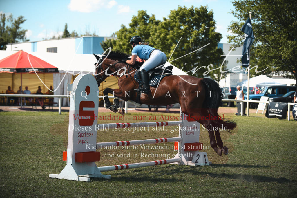 DSC_7142 | Pferde- und Turnierfotografie in Westsachsen. Pferdeportraits, Auftragszeichnungen und intuitive Kunst.