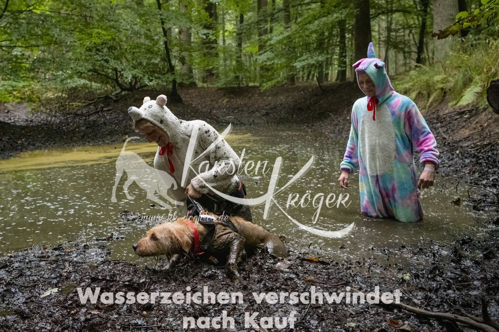 0917_ZZ90241-Bearbeitet | kk-dogfotos