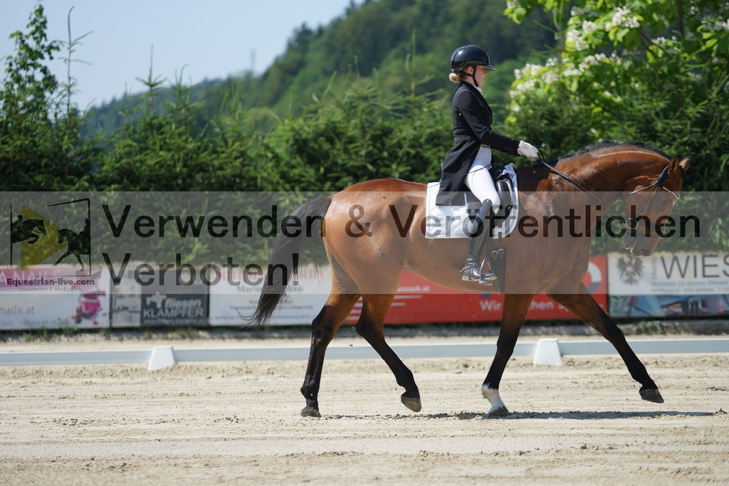 DSC02239 | equestrian-live-com