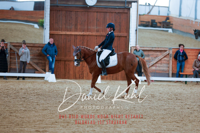 _62_5676 | Turniersportfotografie; Pferdefotografie; Dressurfotografie