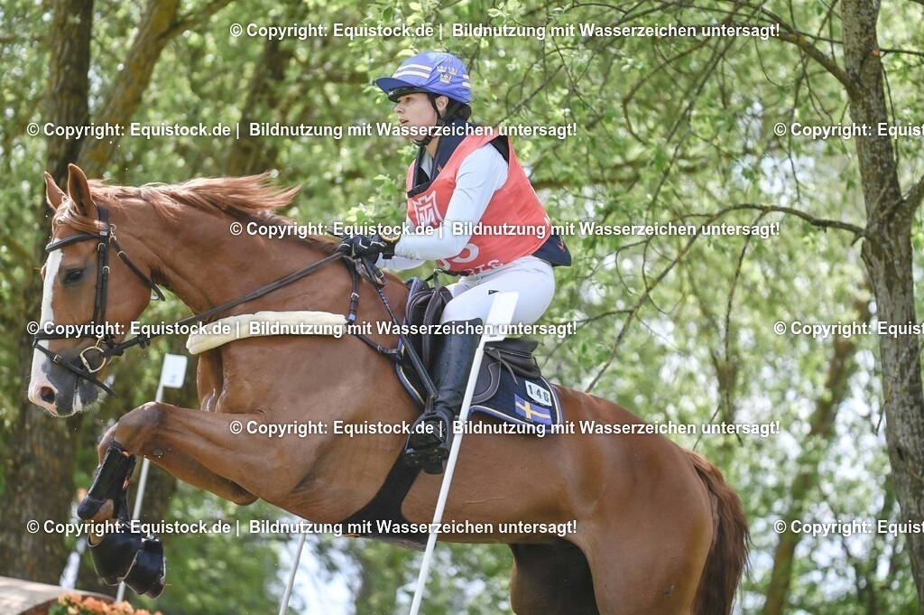 20250517_CCI2_Gelände_1758 | Foto: Thomas Hartig