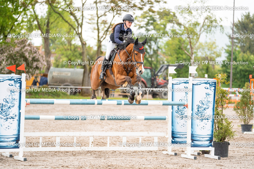 Eppelheim Tag 3-66 | dv-media-shop - Realisiert mit Pictrs.com