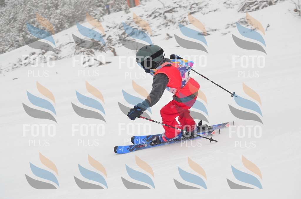 C0956 | holidayphoto