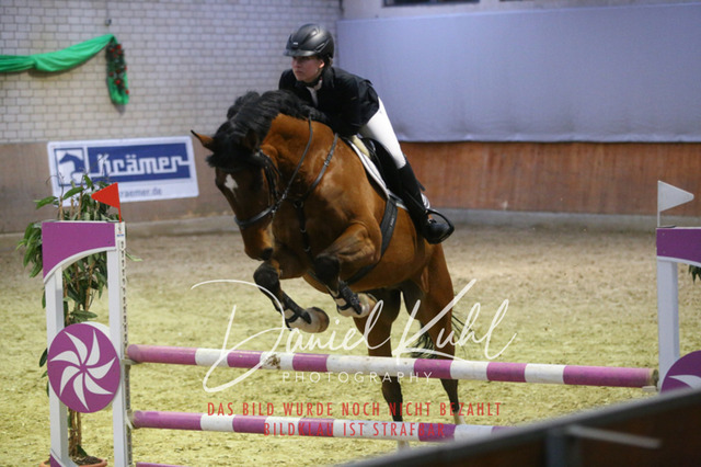 IMG_0791 | Deine Turnierfotos vom Reitturnier online kaufen: Dressur, Springen & Siegerehrung. Professionelle Pferdefotografie aus dem Rheinland – als Download & Print.Alternative: Turnierfotograf für den Pferdesport: Finde deine Fotos von Dressur- und Springturnier