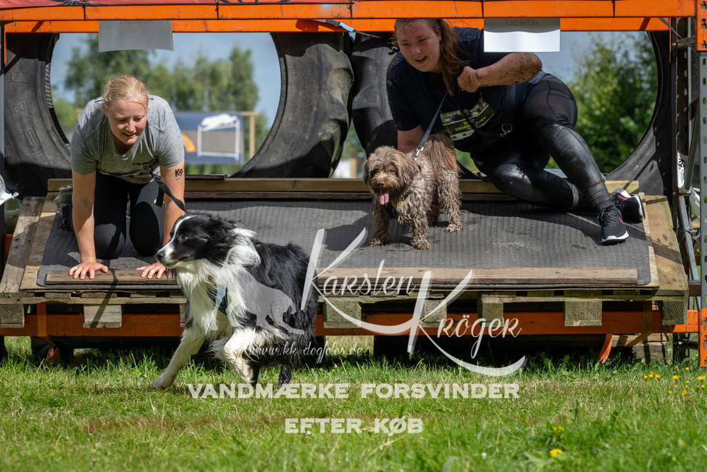 1115_ZZ92166 | kk-dogfotos
