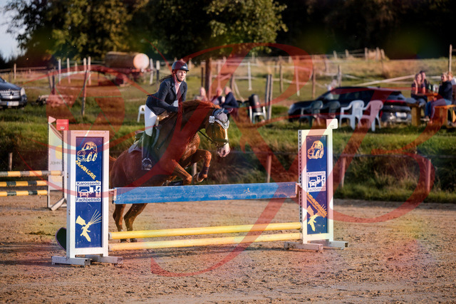 2026_10_03_Siefer-Hof_171252_Z81_10208159 | Professionelle Reitsport-, Turnier- und Eventfotografie von Robert Broda. Galerien mit ausgewählten und bearbeiteten Bildern direkt online ansehen und bestellen.