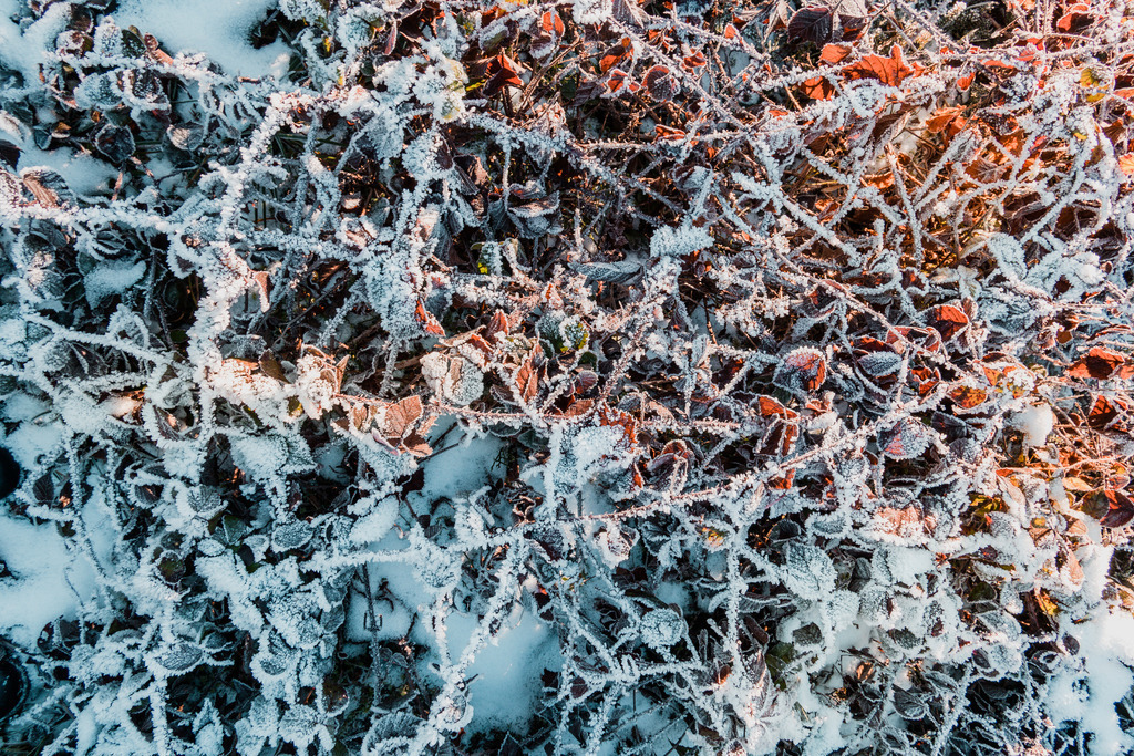 IMG_3675 | ap-design // andreas plenk - Realisiert mit Pictrs.com