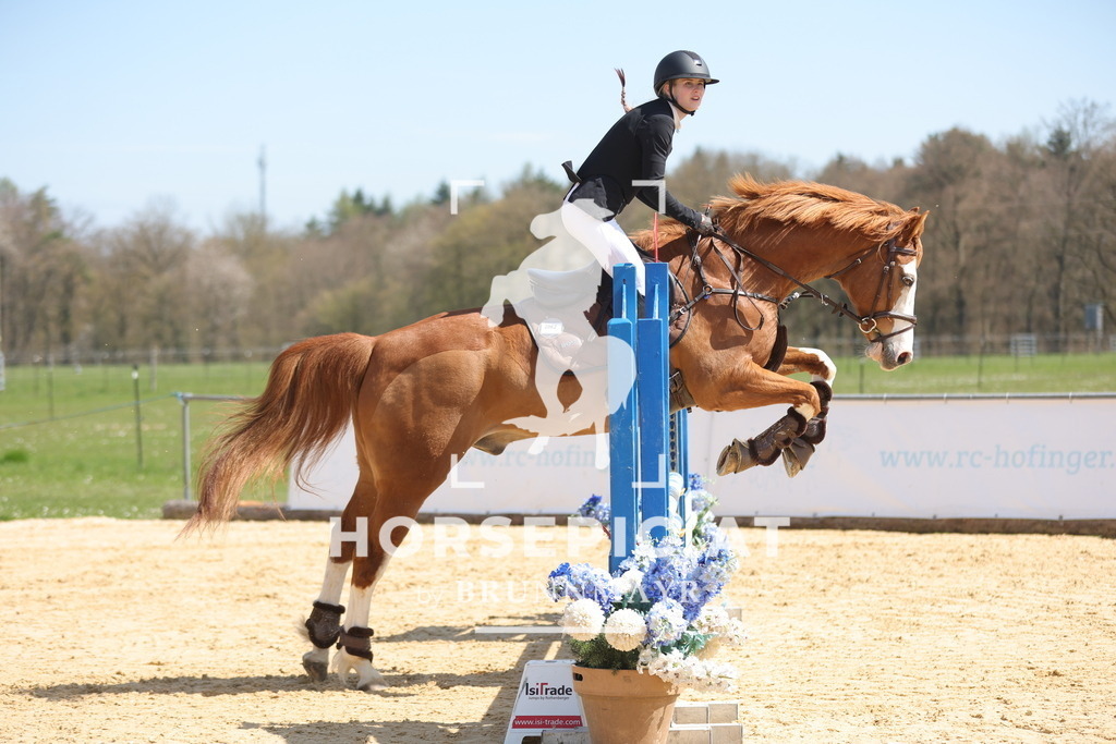 0P6A0617 | Willkommen bei Brunnmayr - Design & Fotografie – Ihrem Spezialisten für Reitturniere und Pferdeveranstaltungen in Oberösterreich, Salzburg und Bayern! Seit über 17 Jahren sind wir leidenschaftlich dabei.