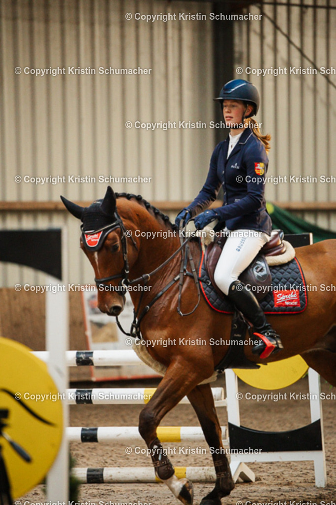 Springpferde A_-7 | Kristin Schumacher Photography