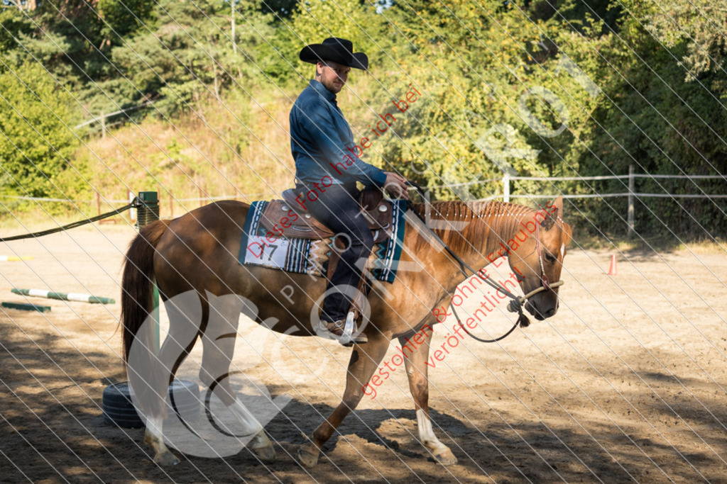 IMG_6554 | Sport-, Event- und Tierfotos in Profiqualität. Einfach auswählen, bestellen und herunterladen. Dein Moment – perfekt festgehalten.