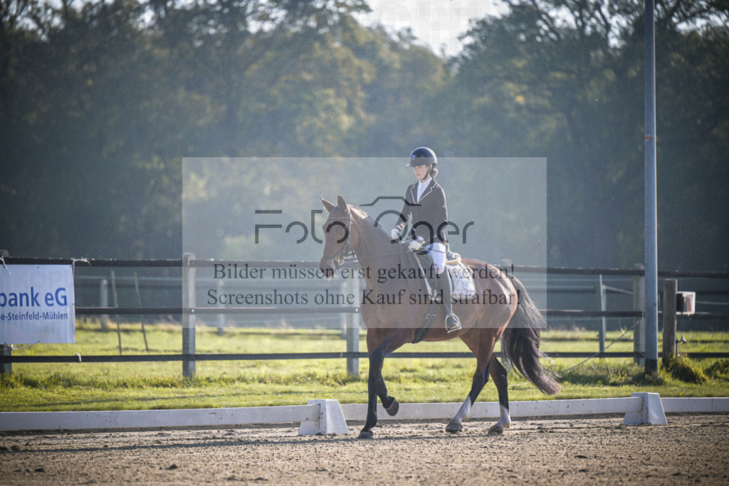 DOS_0293 | Entdecke hochwertige Reitturnierfotos von Foto Oger. Professionell, emotional und authentisch – jetzt Lieblingsmomente im Shop bestellen.Deutschlandweite Turnierfotografie. - Realisiert mit Pictrs.com