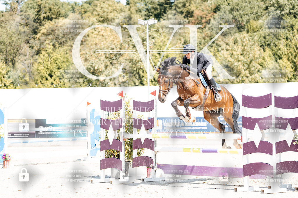 CK900131 | Turnierfotografie Pferdefotografie Trier Rheinland-Pfalz Pferdesport Reitsport Tierfotografie Sportfotografie Pferdevideo Pferdevideografie Equestrianvideography equestrianphotography  - Realisiert mit Pictrs.com