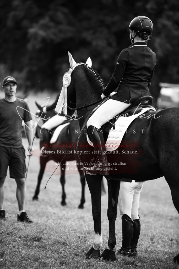 DSC_6420 | Pferde- und Turnierfotografie in Westsachsen. Pferdeportraits, Auftragszeichnungen und intuitive Kunst.