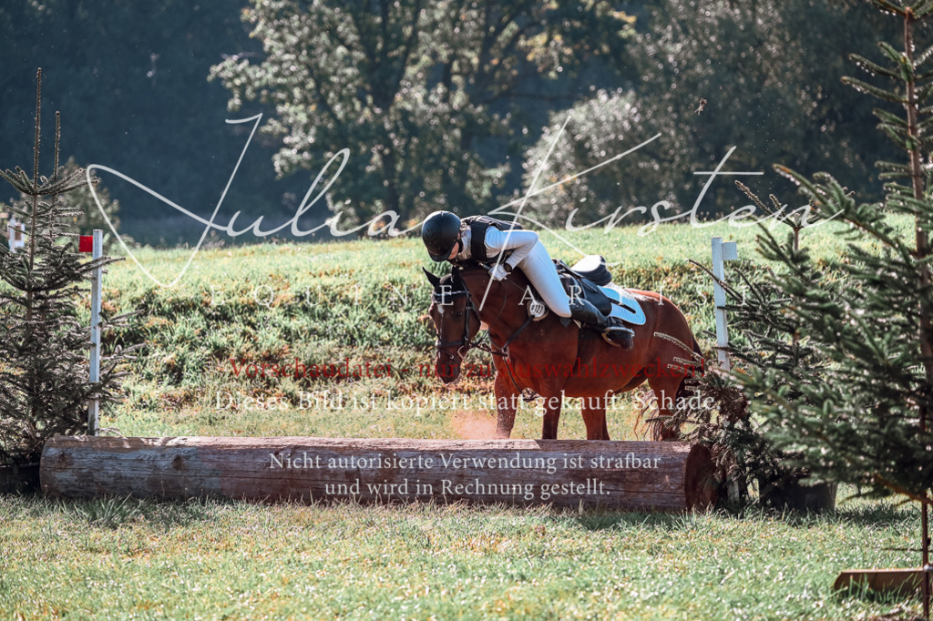 DSC_0610 | Pferde- und Turnierfotografie in Westsachsen. Pferdeportraits, Auftragszeichnungen und intuitive Kunst.
