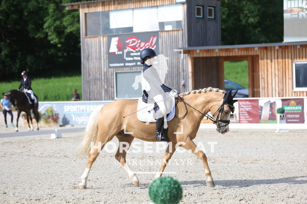 0P6A4683 | Willkommen bei Brunnmayr - Design & Fotografie – Ihrem Spezialisten für Reitturniere und Pferdeveranstaltungen in Oberösterreich, Salzburg und Bayern! Seit über 17 Jahren sind wir leidenschaftlich dabei.