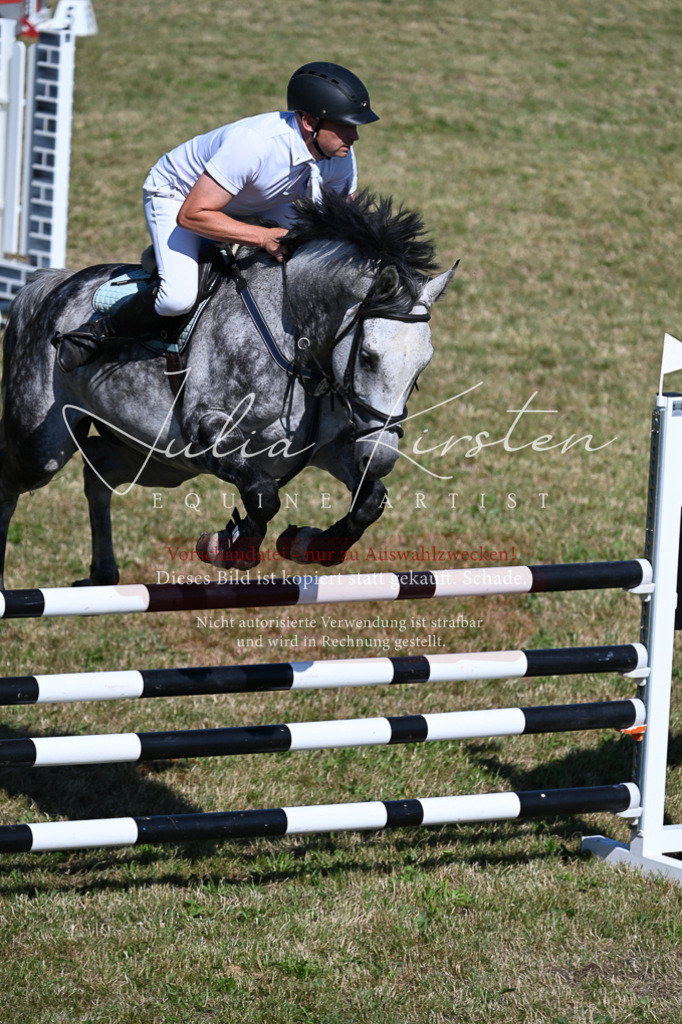 DSC_1864 | Pferde- und Turnierfotografie in Westsachsen. Pferdeportraits, Auftragszeichnungen und intuitive Kunst.