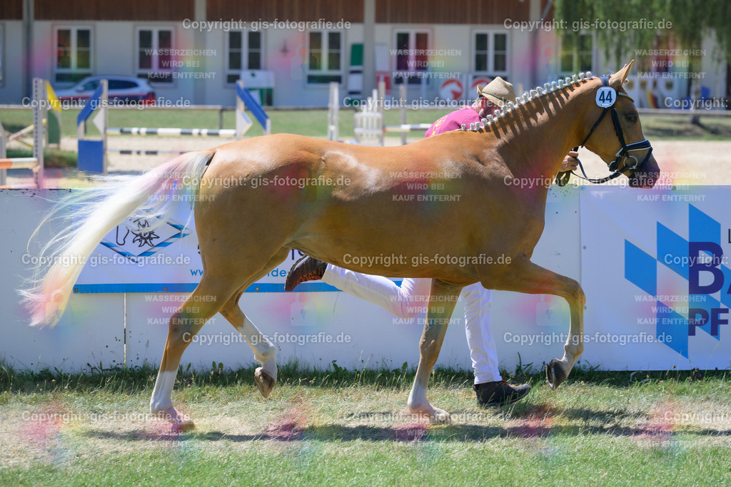 44_Best-Friends-D_Amour_v.Herzbube-D-WE_Liebhaber_250622_09 | gis-fotografie