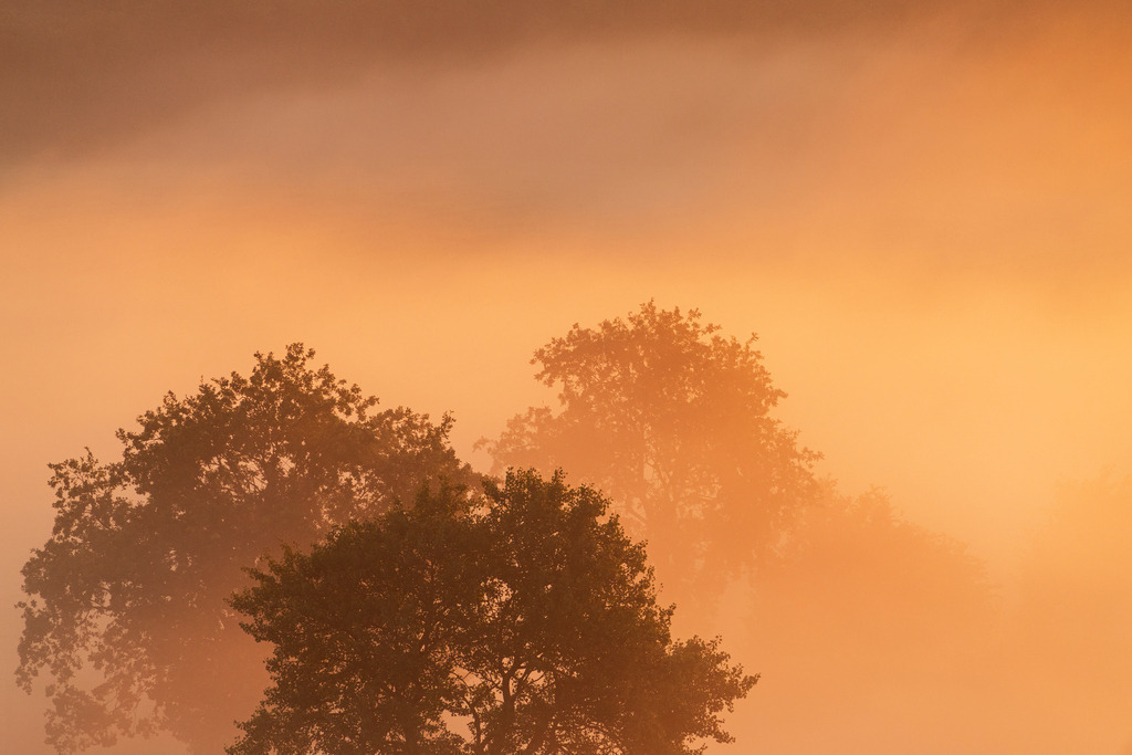2023_09_07_NOK_SONNENAUFGANG_MCP4259 | Hochwertig gedruckte Fotografien für die Wand, als Kalender und zum Verschenken. Hamburg & Norddeutschland und überall wo ich mit der Kamera unterwegs war.