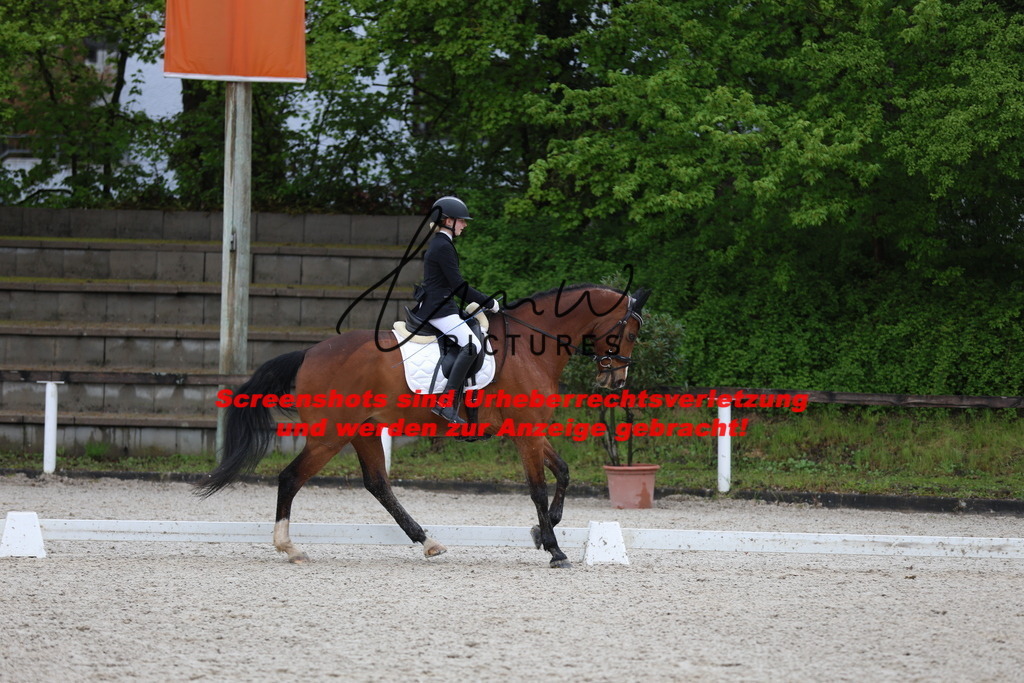 A40A9314 | lmwpictures - Realisiert mit Pictrs.com