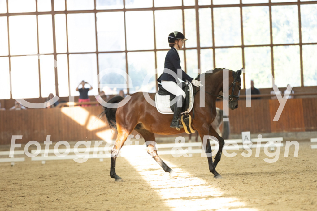 IMG_8404 | Creatify Fotografie