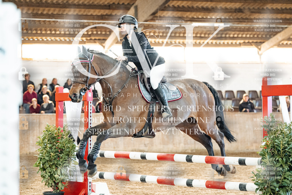 CK904401 | Turnierfotografie Pferdefotografie Trier Rheinland-Pfalz Pferdesport Reitsport Tierfotografie Sportfotografie Pferdevideo Pferdevideografie Equestrianvideography equestrianphotography  - Realisiert mit Pictrs.com