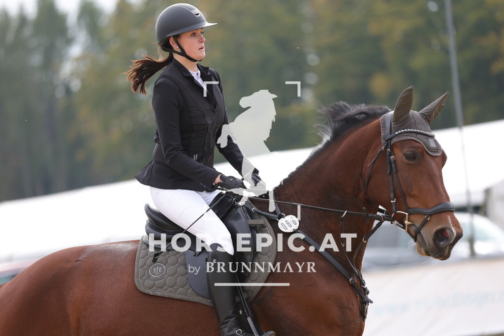 0P6A7682 | Willkommen bei Brunnmayr - Design & Fotografie – Ihrem Spezialisten für Reitturniere und Pferdeveranstaltungen in Oberösterreich, Salzburg und Bayern! Seit über 17 Jahren sind wir leidenschaftlich dabei.