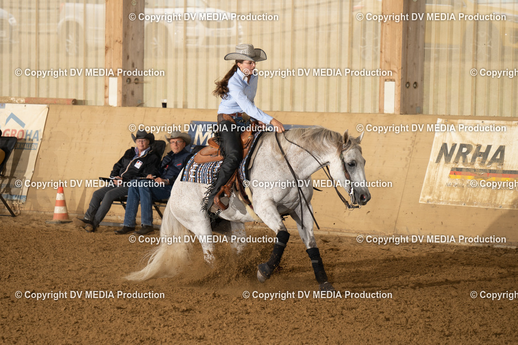 LAU00955 | dv-media-shop - Realisiert mit Pictrs.com