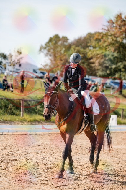 2026_10_03_Siefer-Hof_130547_Z63_69759231 | Professionelle Reitsport-, Turnier- und Eventfotografie von Robert Broda. Galerien mit ausgewählten und bearbeiteten Bildern direkt online ansehen und bestellen.