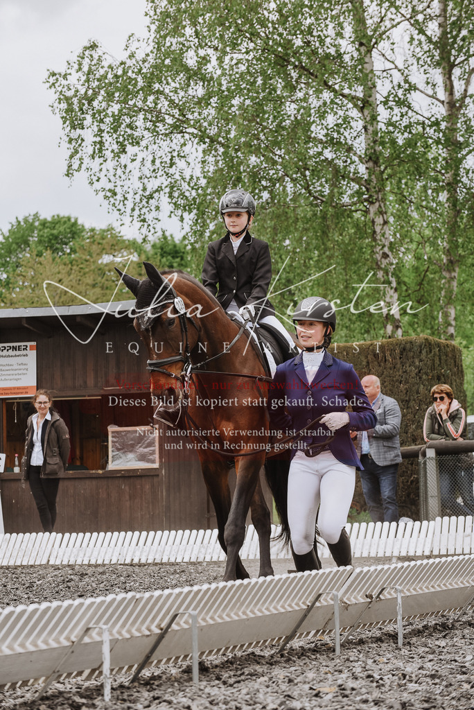 DSC_9939 | Pferde- und Turnierfotografie in Westsachsen. Pferdeportraits, Auftragszeichnungen und intuitive Kunst.