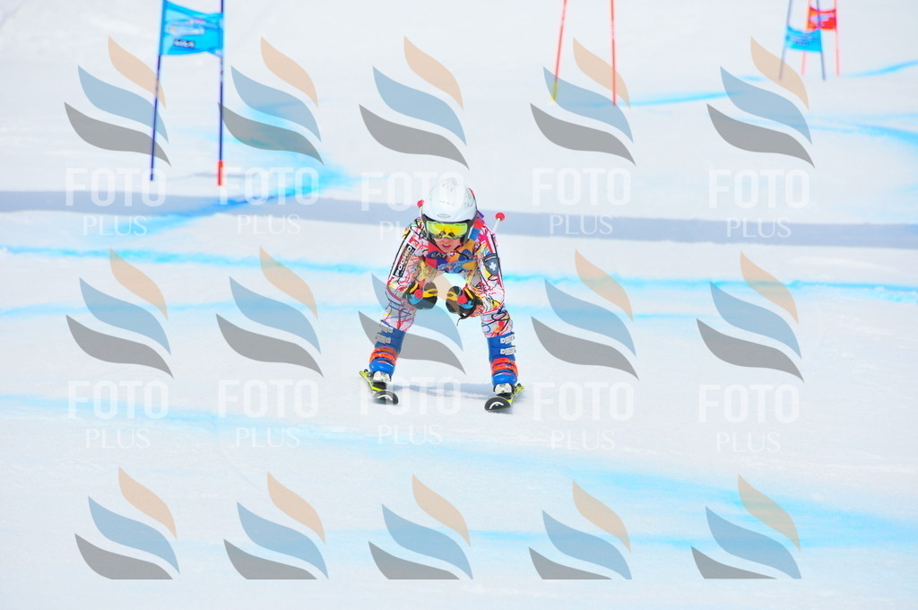 DSC_2329 | holidayphoto