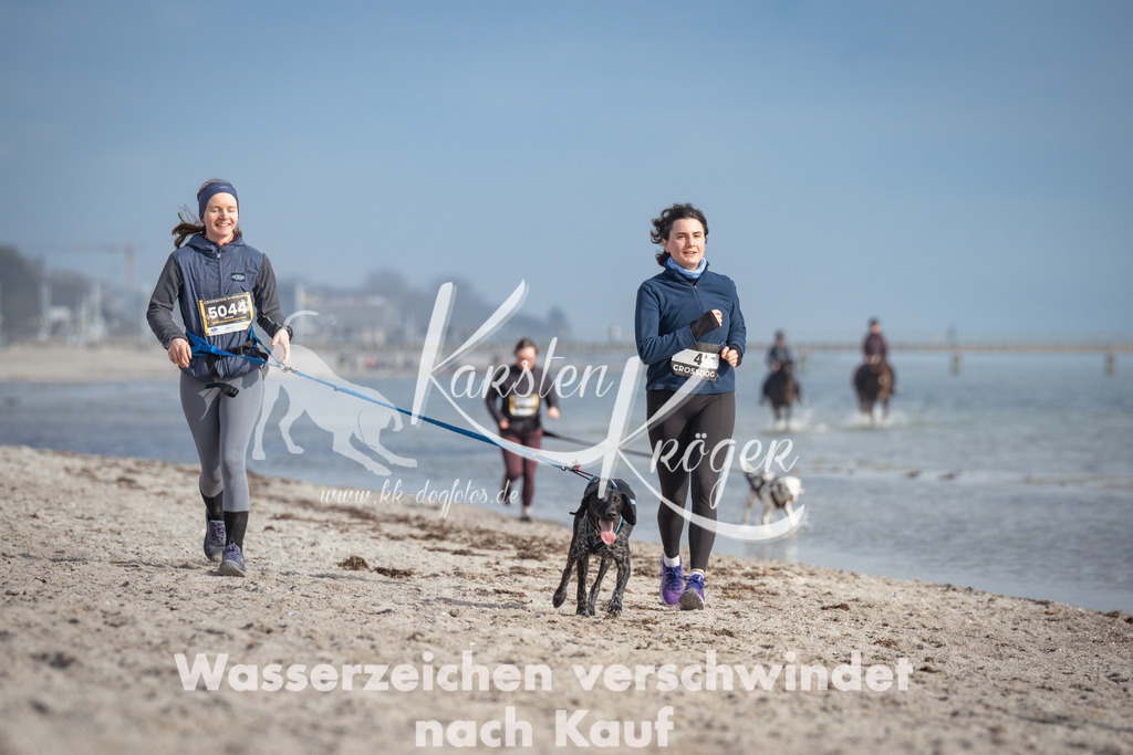 1234_ZZ97051 | kk-dogfotos