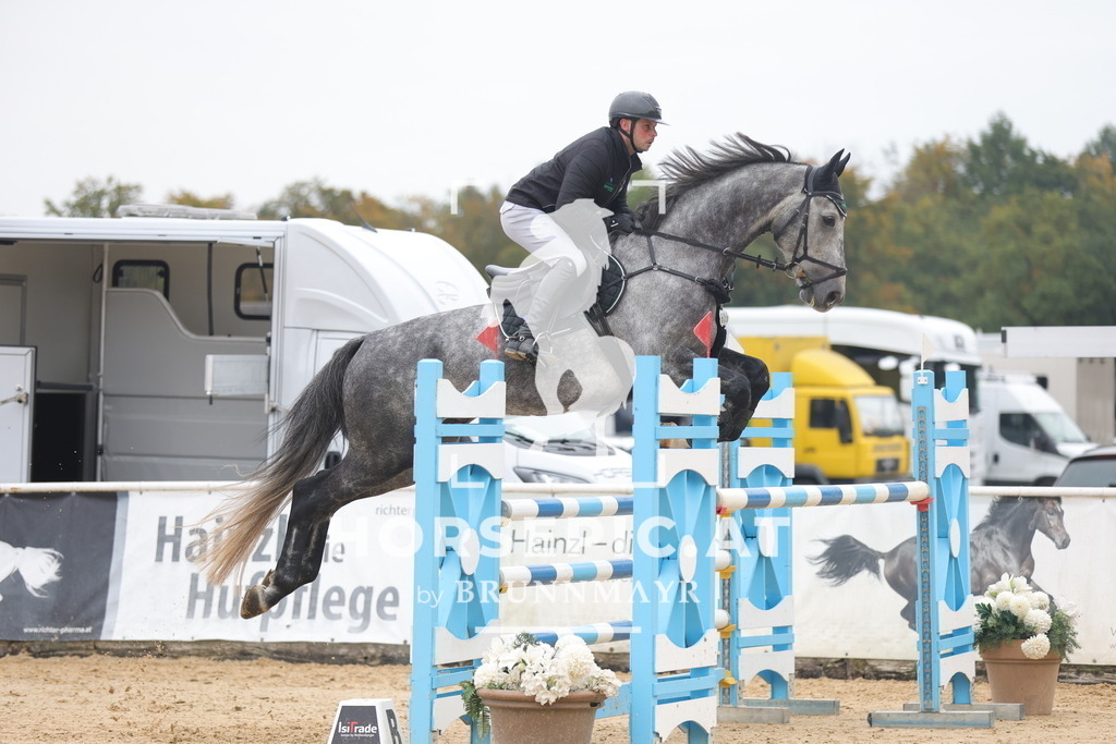 0P6A1789 | Willkommen bei Brunnmayr - Design & Fotografie – Ihrem Spezialisten für Reitturniere und Pferdeveranstaltungen in Oberösterreich, Salzburg und Bayern! Seit über 17 Jahren sind wir leidenschaftlich dabei.